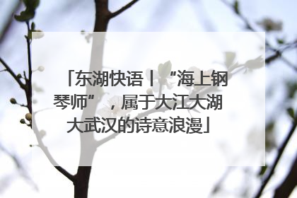 东湖快语丨“海上钢琴师”，属于大江大湖大武汉的诗意浪漫