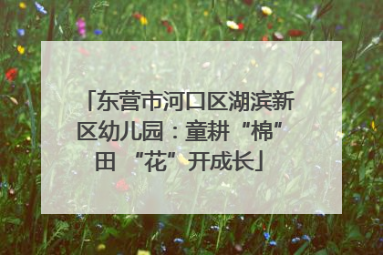 东营市河口区湖滨新区幼儿园：童耕“棉”田 “花”开成长