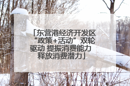 东营港经济开发区“政策+活动”双轮驱动 提振消费能力 释放消费潜力