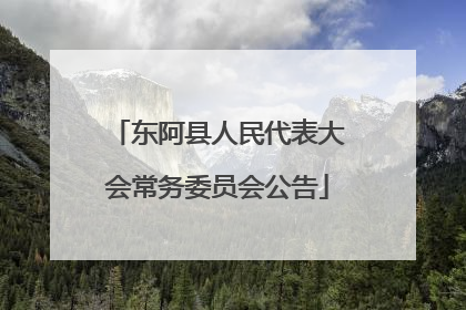东阿县人民代表大会常务委员会公告
