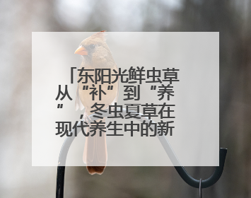 东阳光鲜虫草从“补”到“养”，冬虫夏草在现代养生中的新打开方式