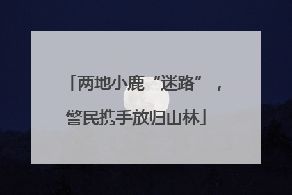 两地小鹿“迷路”，警民携手放归山林