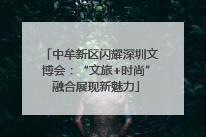 中牟新区闪耀深圳文博会：“文旅+时尚”融合展现新魅力