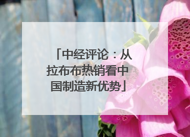 中经评论：从拉布布热销看中国制造新优势