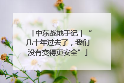 中东战地手记｜“几十年过去了，我们没有变得更安全”