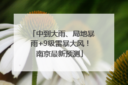 中到大雨、局地暴雨+9级雷暴大风！南京最新预测