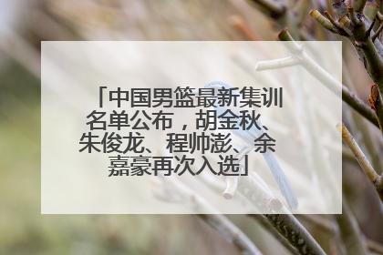 中国男篮最新集训名单公布，胡金秋、朱俊龙、程帅澎、余嘉豪再次入选