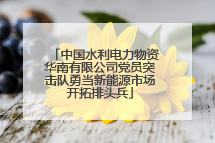 中国水利电力物资华南有限公司党员突击队勇当新能源市场开拓排头兵