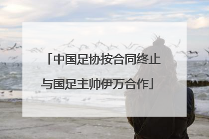 中国足协按合同终止与国足主帅伊万合作