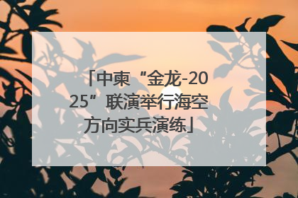 中柬“金龙-2025”联演举行海空方向实兵演练