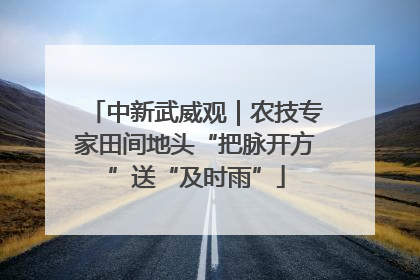 中新武威观｜农技专家田间地头“把脉开方”送“及时雨”