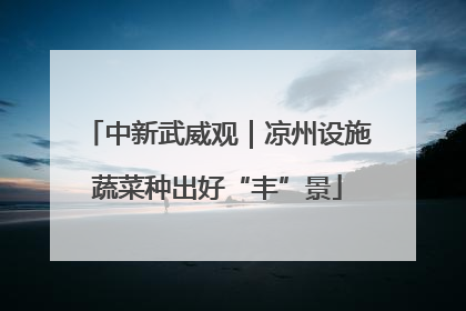 中新武威观｜凉州设施蔬菜种出好“丰”景