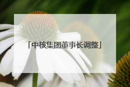 中核集团董事长调整