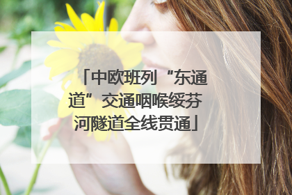 中欧班列“东通道”交通咽喉绥芬河隧道全线贯通