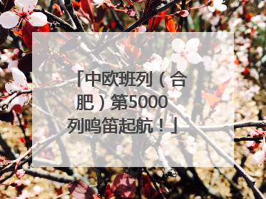 中欧班列（合肥）第5000列鸣笛起航！