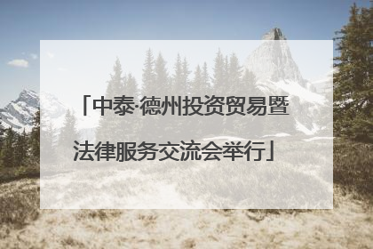 中泰·德州投资贸易暨法律服务交流会举行