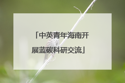 中英青年海南开展蓝碳科研交流