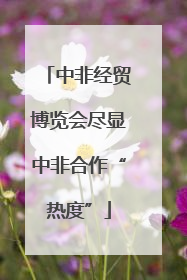 中非经贸博览会尽显中非合作“热度”