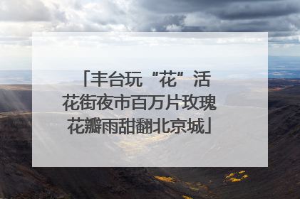 丰台玩“花”活 花街夜市百万片玫瑰花瓣雨甜翻北京城