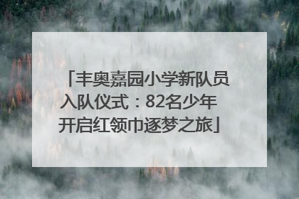丰奥嘉园小学新队员入队仪式：82名少年开启红领巾逐梦之旅