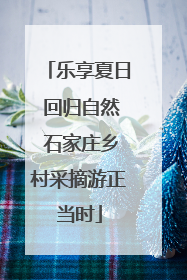 乐享夏日 回归自然 石家庄乡村采摘游正当时