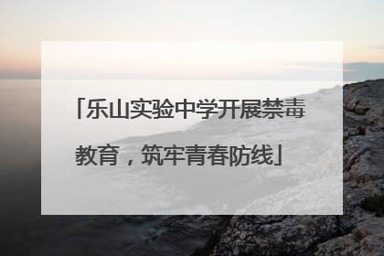 乐山实验中学开展禁毒教育，筑牢青春防线