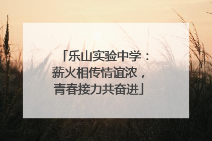 乐山实验中学：薪火相传情谊浓，青春接力共奋进