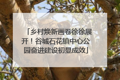 乡村焕新画卷徐徐展开！谷城石花镇中心公园奋进建设初显成效