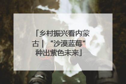 乡村振兴看内蒙古｜“沙漠蓝莓”种出紫色未来