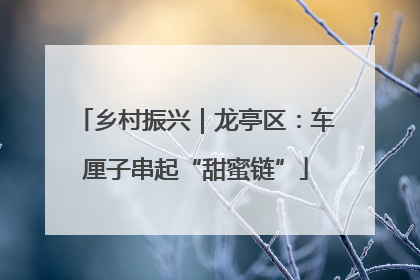 乡村振兴｜龙亭区：车厘子串起“甜蜜链”