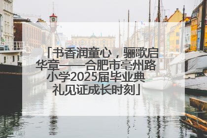 书香润童心，骊歌启华章——合肥市亳州路小学2025届毕业典礼见证成长时刻