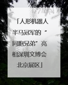 人形机器人半马冠军的“同胞兄弟”亮相深圳文博会北京展区
