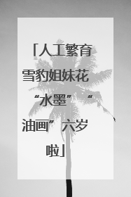 人工繁育雪豹姐妹花“水墨”“油画”六岁啦