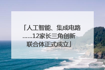 人工智能、集成电路……12家长三角创新联合体正式成立