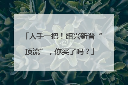 人手一把！绍兴新晋“顶流”，你买了吗？