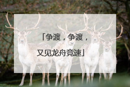 争渡，争渡，又见龙舟竞速