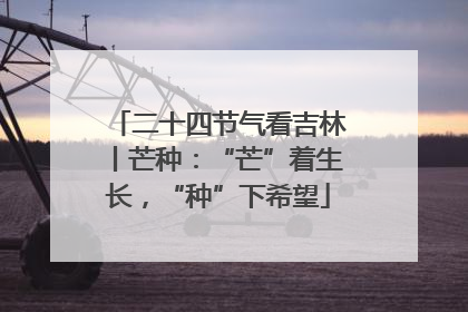 二十四节气看吉林丨芒种：“芒”着生长，“种”下希望