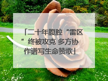 二十年腹腔“雷区”终被攻克 多方协作谱写生命赞歌