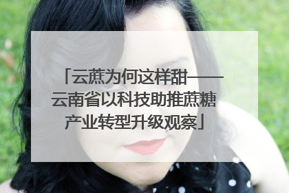 云蔗为何这样甜——云南省以科技助推蔗糖产业转型升级观察
