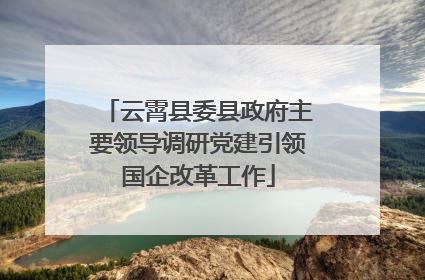 云霄县委县政府主要领导调研党建引领国企改革工作