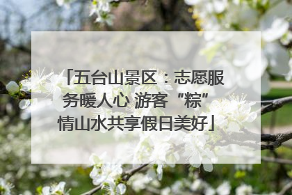五台山景区：志愿服务暖人心 游客“粽”情山水共享假日美好