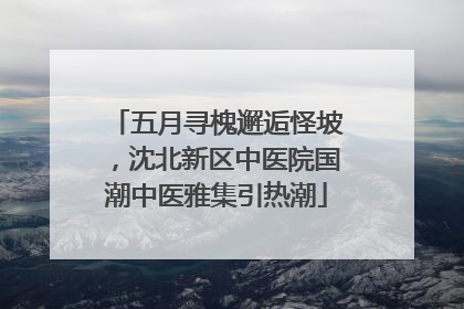 五月寻槐邂逅怪坡，沈北新区中医院国潮中医雅集引热潮
