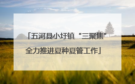 五河县小圩镇“三聚焦”全力推进夏种夏管工作