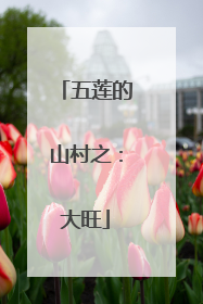 五莲的山村之：大旺