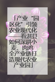 产业“园区化”引领农业现代化——看淇县如何深耕小麦、肉鸡 全产业链打造现代农业产业园