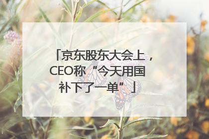 京东股东大会上，CEO称“今天用国补下了一单”
