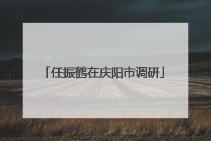 任振鹤在庆阳市调研