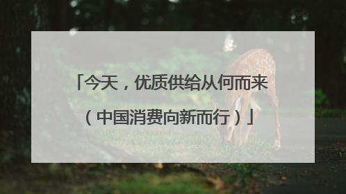 今天，优质供给从何而来（中国消费向新而行）