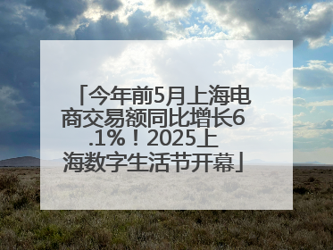 今年前5月上海电商交易额同比增长6.1%！2025上海数字生活节开幕