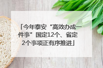 今年泰安“高效办成一件事”国定12个、省定2个事项正有序推进